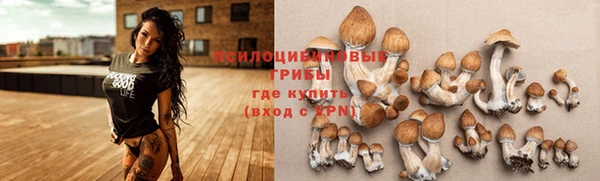 кристаллы Алексеевка